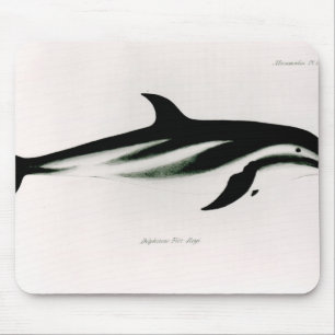 Delphin Mousepad