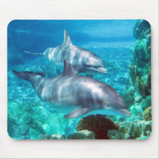 Delphin Mousepad