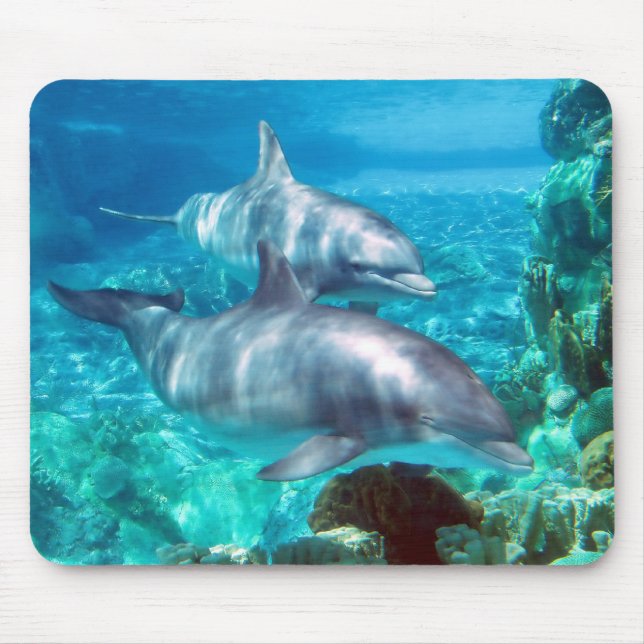 Delphin Mousepad (Vorne)