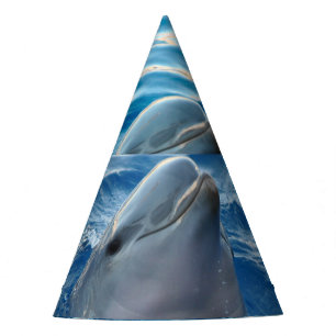 Delphin Partyhütchen