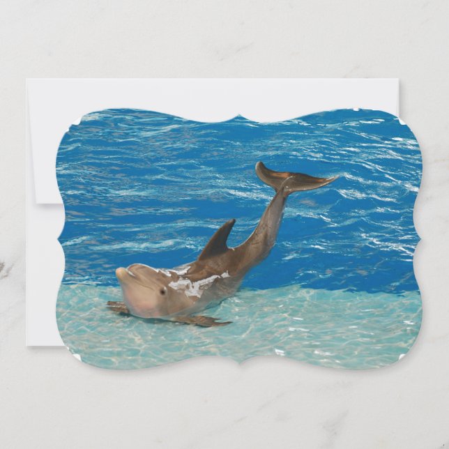Delphin-Pose Einladung (Vorderseite)
