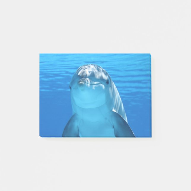 Delphin Post-it Klebezettel (Vorderseite)