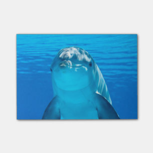 Delphin Post-it Klebezettel