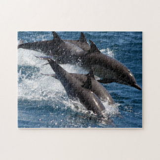 Delphin-Puzzlespiel Puzzle