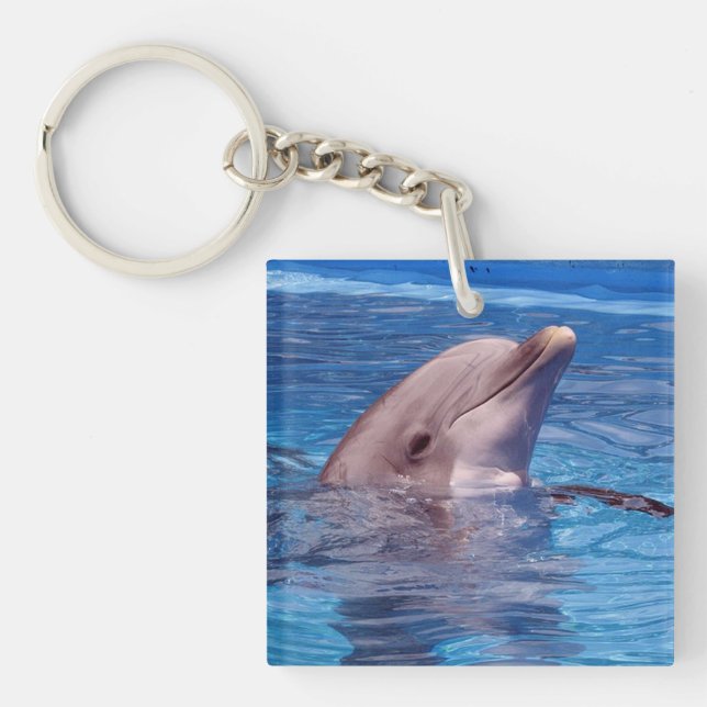 Delphin Schlüsselanhänger (Vorderseite)