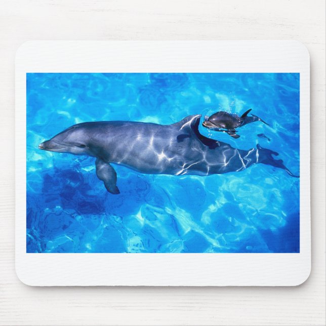 Delphin und Baby Mousepad (Vorne)