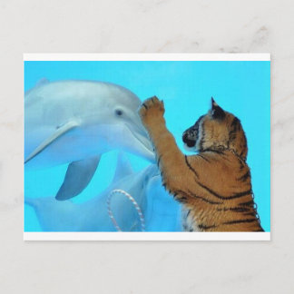 Delphin- und Tigertreffen Postkarte