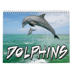 Delphin-Wandkalender Kalender