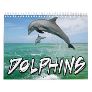 Delphin-Wandkalender Kalender