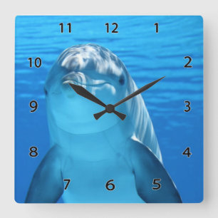 Delphin-Wanduhr Quadratische Wanduhr