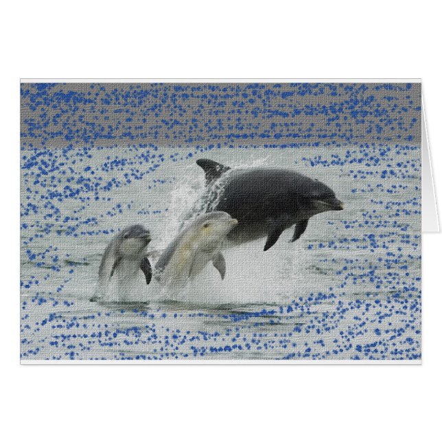 Delphine (Vorderseite (Horizontal))