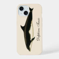 Delphine Delphinus Tursio, Vintage Meereslebewesen