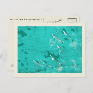 Delphine im Karibischen Meer Postkarte