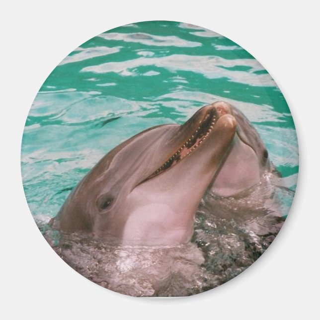 Delphine Magnet (Vorne)