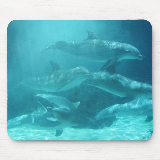 Delphine Mousepad (Vorne)