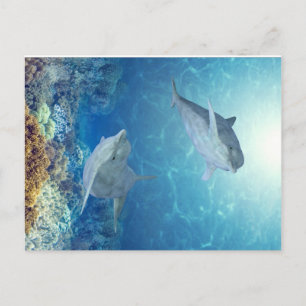 Delphine Postkarte
