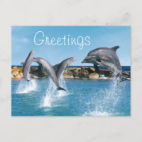 Delphine schwimmen und spielen