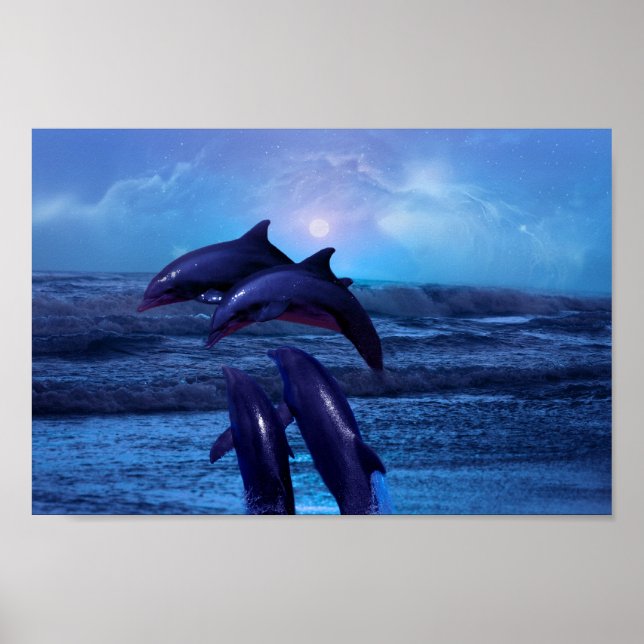 Delphine spielen im Meer Poster (Vorne)