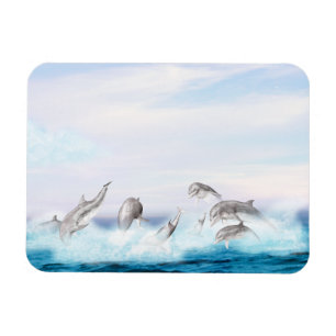 Delphine springen magnet