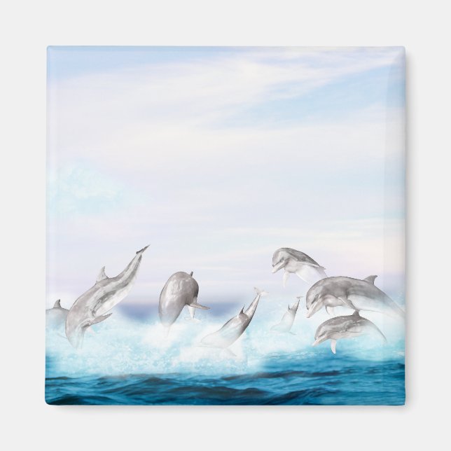 Delphine springen magnet (Vorne)