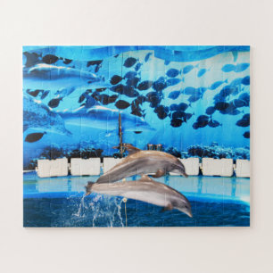 Delphine springen puzzle