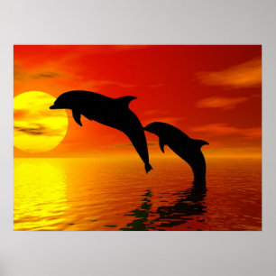 Delphine springen Sunset Poster