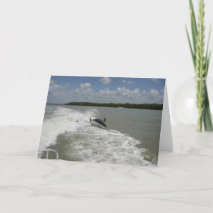 Delphine surfen im weck des Bootes Karte