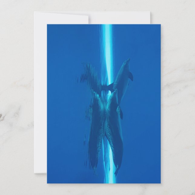 Delphine und Reflexionen blaue Meeresgewässer Einladung (Vorderseite)