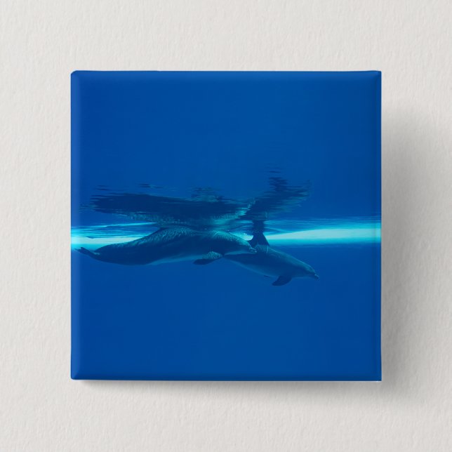 Delphine und Reflexionen Button (Vorderseite)