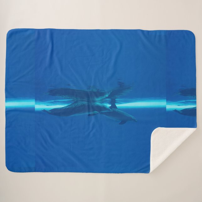 Delphine und Reflexionen Sherpadecke (Vorderseite (Horizontal))