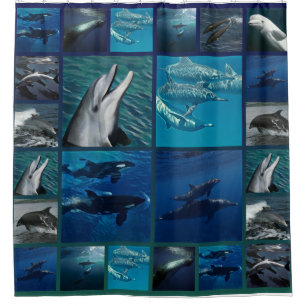 Delphine und Wal-Collage Duschvorhang