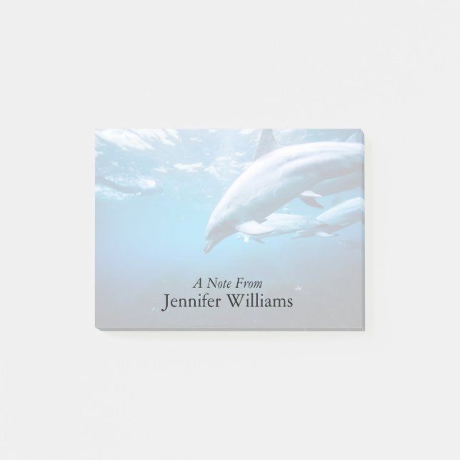 Delphine Unterwasser Post-it Klebezettel (Vorderseite)
