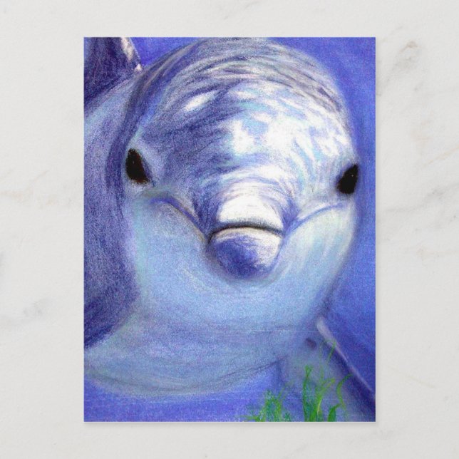Delphine Zeichnend Blaue Delphin-Unterwasserwelt Postkarte (Vorderseite)