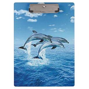 Delphine Zwischenablage Klemmbrett