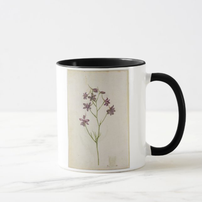 Delphinium ajacis, c.1568 tasse (Rechts)