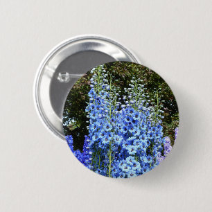 Delphinium Blume Gartengarten Button