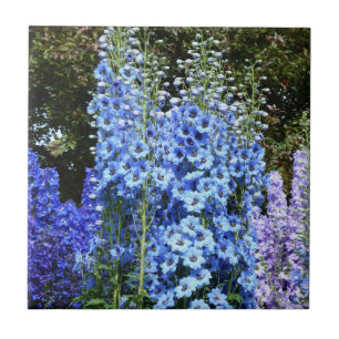 Delphinium Blume Gartengarten Fliese