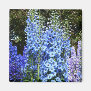 Delphinium Blume Gartengarten Magnet