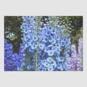 Delphinium Blume Gartengarten Seidenpapier