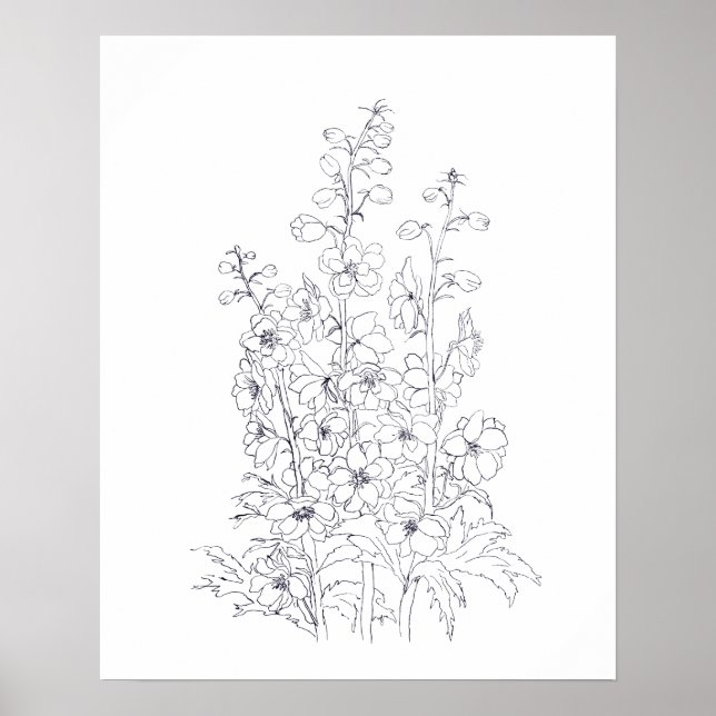 Delphinium-Larkspur-Blume zeichnend Poster (Vorne)