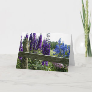 Delphiniums Karte