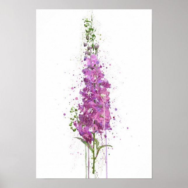 Delphiniums Poster (Vorne)
