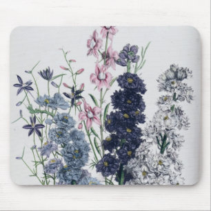 Delphiniums, "von die Damen-" der Blume Garden Mousepad