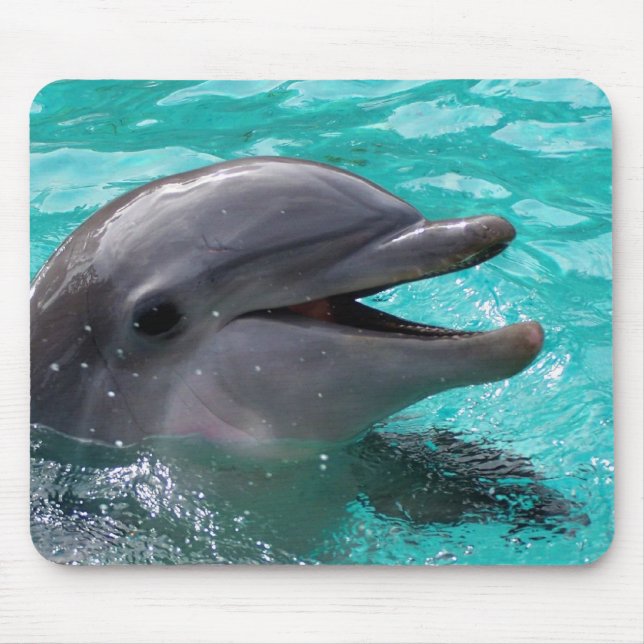 Delphinkopf im Aquamarinewasser Mousepad (Vorne)