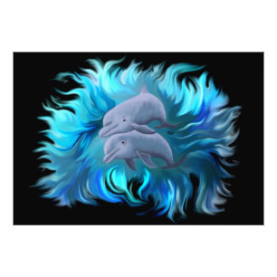 Delphinpaare Fotodruck