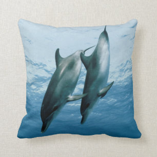 Delphinpaare Kissen