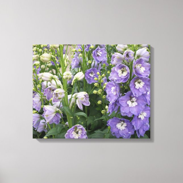 Delphinum-Blume Wrapped Canvas Leinwanddruck (Vorderseite)