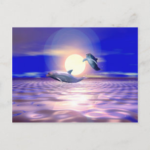 Delphinumleitung - Zwei Delphine springen Postkarte