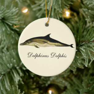 Delphinus Delphis, Vintage Meeressäugetiere Keramikornament
