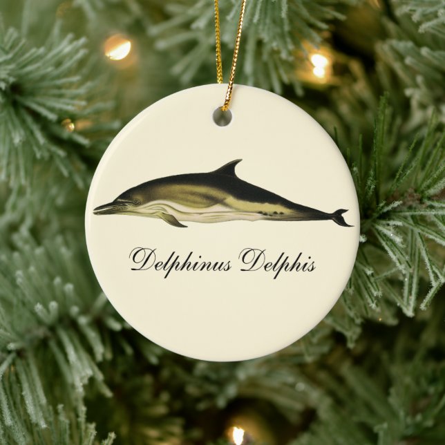 Delphinus Delphis, Vintage Meeressäugetiere Keramikornament (Baum)